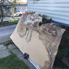 ceiling-replace-2019-2